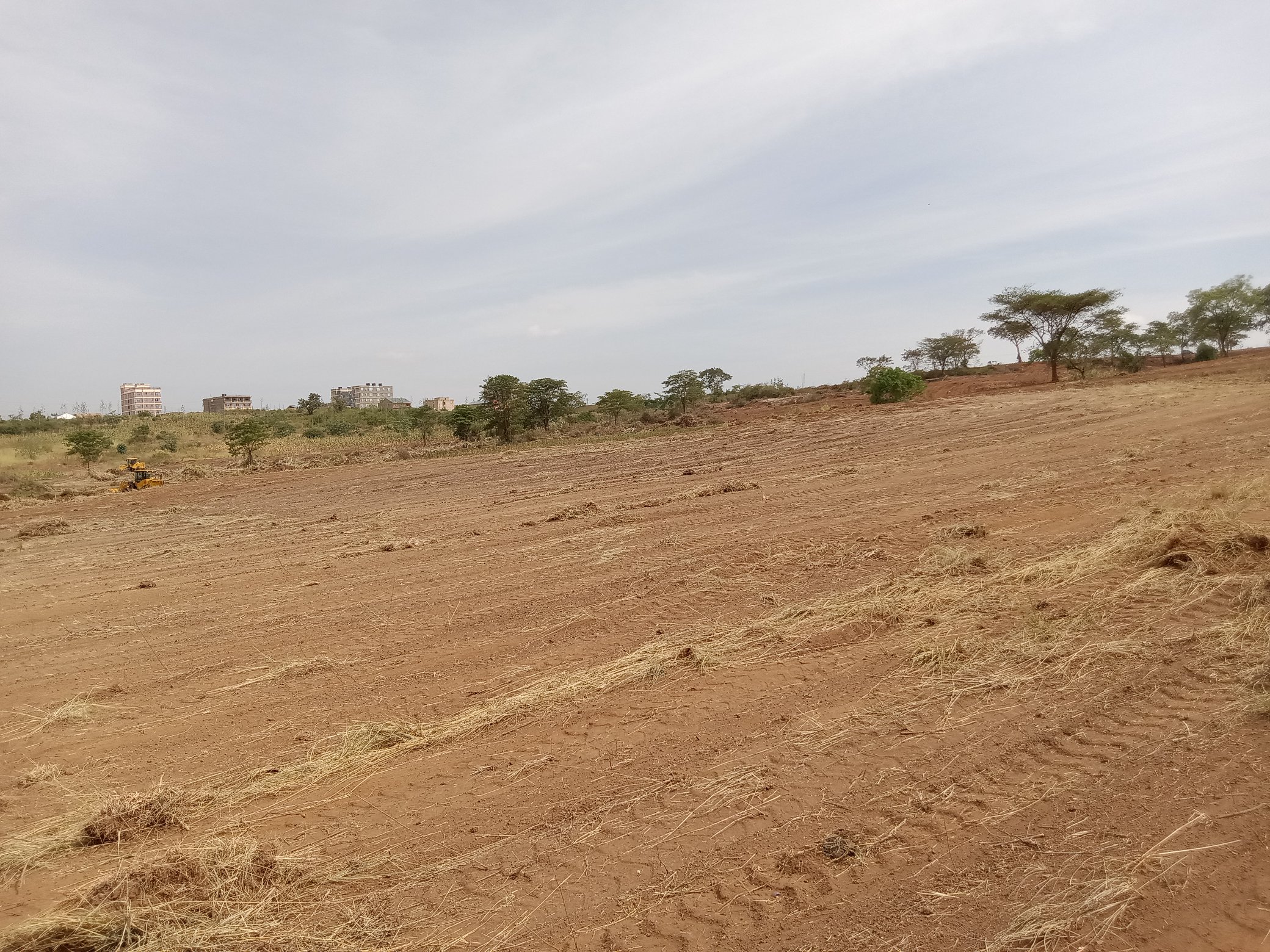 Bush Clearing Progress